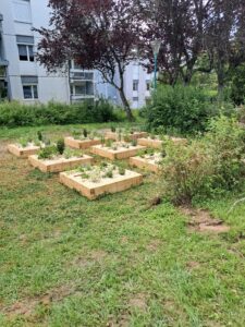Installation des carrés de jardin
